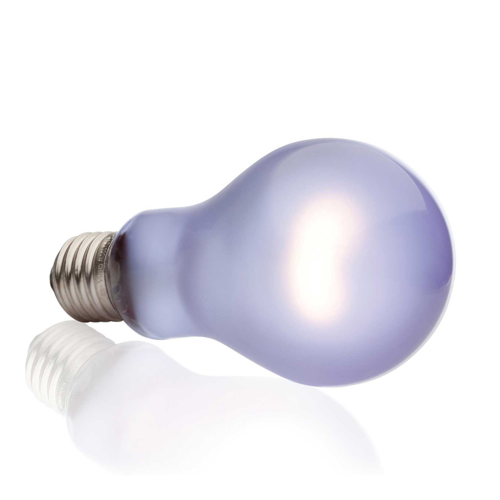Exo Terra Żarówka Grzewcza 60W Daytime Heat gwint E27